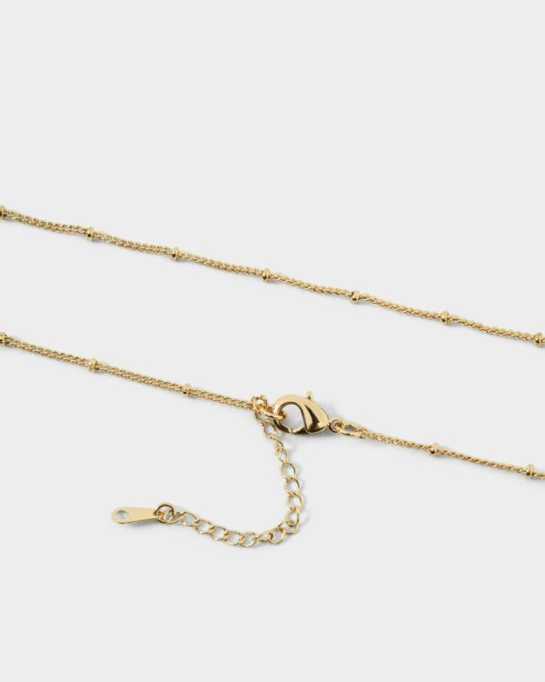 Happydoct.shop2d5aa61ac7 4